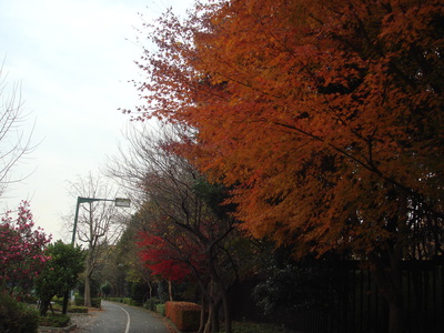 b0199912_2093676.jpg