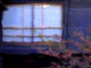 d0129713_124984.jpg