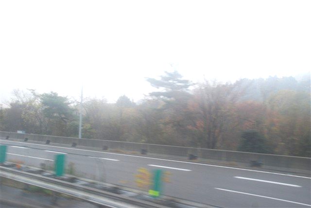 種を蒔く。芽、息吹くその日を待ちわびながら。_c0116714_13105896.jpg