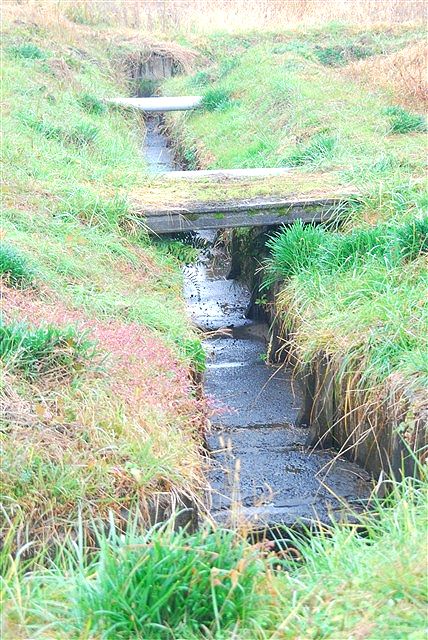 種を蒔く。芽、息吹くその日を待ちわびながら。_c0116714_131851.jpg