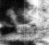 e0171614_13583984.gif