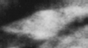 e0171614_1359748.gif
