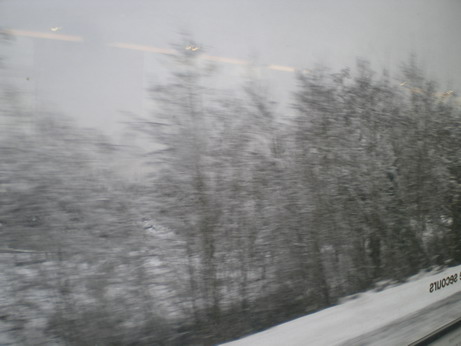 c0124619_213101.jpg