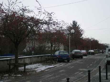 c0124619_22473382.jpg