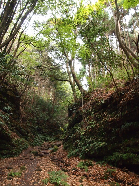 b0177323_16423029.jpg