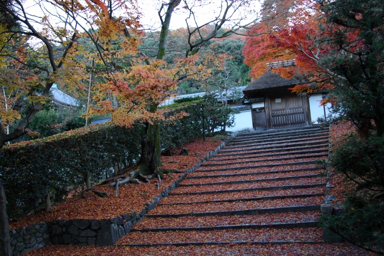 安楽寺 －散り紅葉－_b0169330_229331.jpg