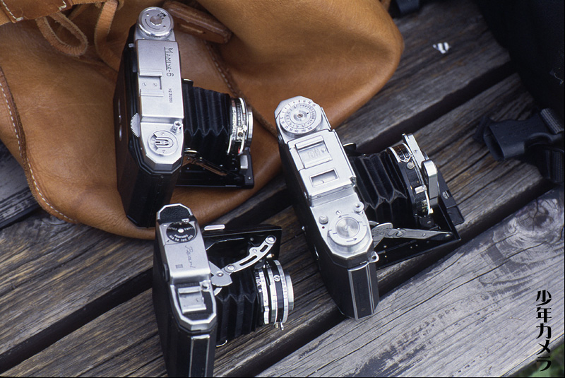 Mamiya 6 Automat 蛇腹カメラ : 少年カメラ Mamiya 6 Automat 蛇腹カメラ : 少年カメラ