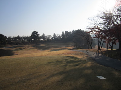 a0124132_16263510.jpg