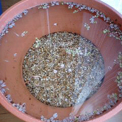d0048332_9583137.gif