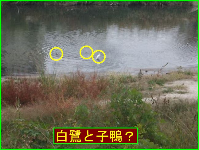 c0004734_14493277.jpg
