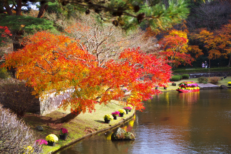 修善寺・虹の郷紅葉狩　　　2010-11-28_c0153534_22362823.jpg