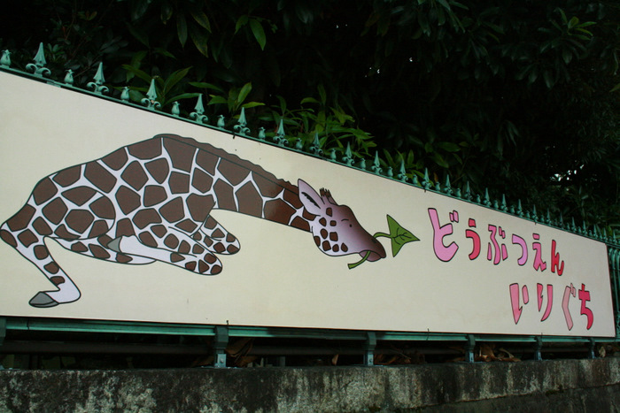 b0168840_1712051.jpg