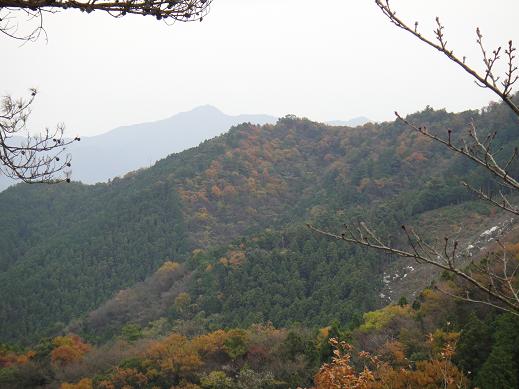 e0164643_1195514.jpg