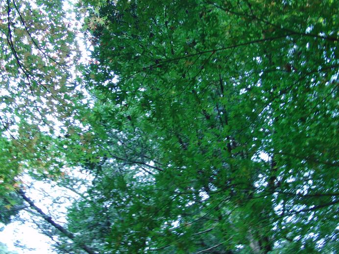 c0156345_23412047.jpg