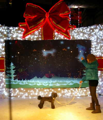 d0026745_63029.jpg