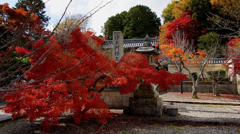 錦秋の都路２０１０ (長岡京 浄土宗西山派総本山 粟生光明寺の紅葉) (2010年12月02日)_c0119555_21393632.jpg