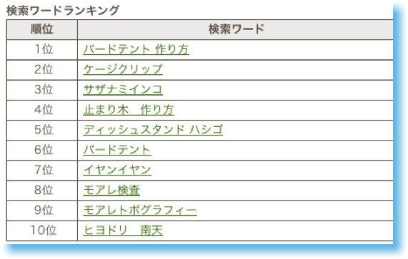 ライブカメラ中継はおもしろい_e0173755_17111075.jpg