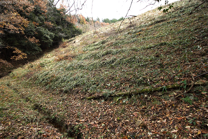 岡山県久米南町 重行池_f0091955_0432143.jpg