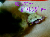 c0052756_20341765.jpg