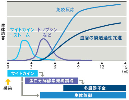 今シーズンのインフルエンザ 　インフルエンザ脳症の発症要因_c0219358_2373391.jpg