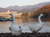 京都で自転車食べ走り_b0113959_16252630.jpg