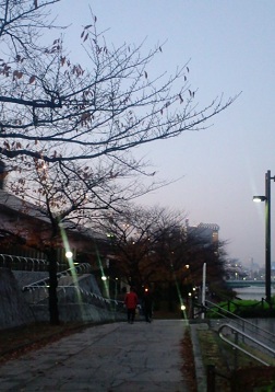f0156159_8104765.jpg