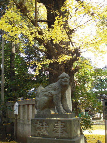 天祖神社・氏神様_a0053063_0414590.jpg