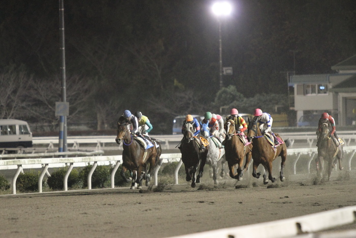 2010年11月28日（日） 高知競馬 11R 一発逆転 ファイナルレース B-4 記者選抜 その2_a0077663_7493292.jpg