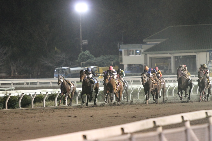 2010年11月28日（日） 高知競馬 11R 一発逆転 ファイナルレース B-4 記者選抜 その2_a0077663_750358.jpg