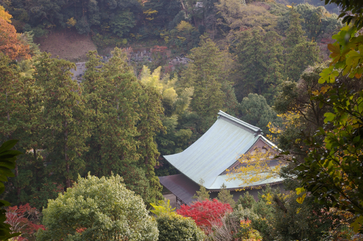 10年の鎌倉の紅葉狩り②やはり必見の円覚寺の紅葉_c0014967_931521.jpg