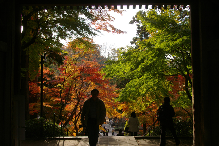 10年の鎌倉の紅葉狩り②やはり必見の円覚寺の紅葉_c0014967_9341164.jpg