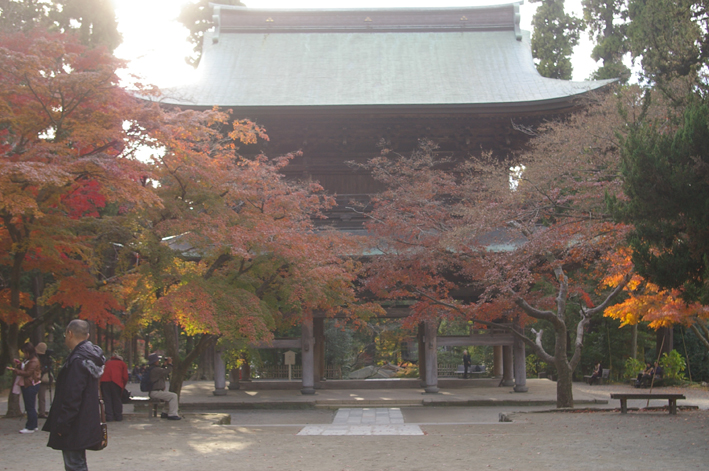 10年の鎌倉の紅葉狩り②やはり必見の円覚寺の紅葉_c0014967_9344370.jpg