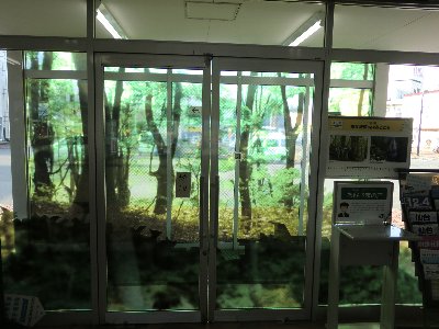 東北新幹線新青森駅開業 1日前_f0236270_1835372.jpg