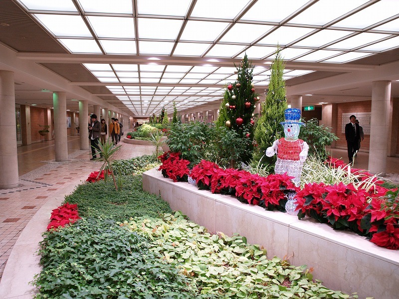 e0174074_21502616.jpg