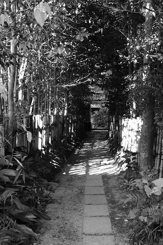 京都 厭離庵_c0196076_13389.jpg