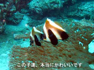 緊張の海洋実習_f0144385_073628.jpg