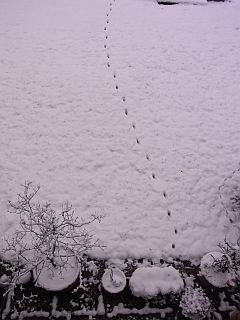 f0169885_421511.jpg