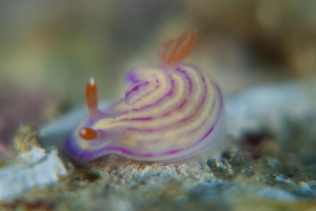 e0064291_9325110.jpg