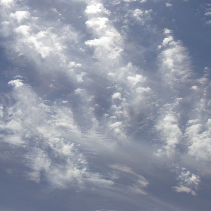 e0079995_10101714.jpg