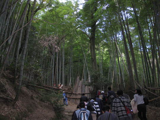 天王山～十七烈士と宝積寺_f0010195_2318425.jpg