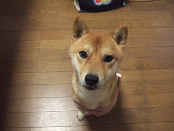 d0027698_05453.jpg