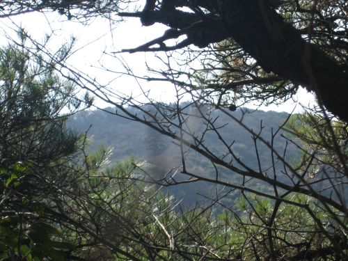 f0036700_14393285.jpg