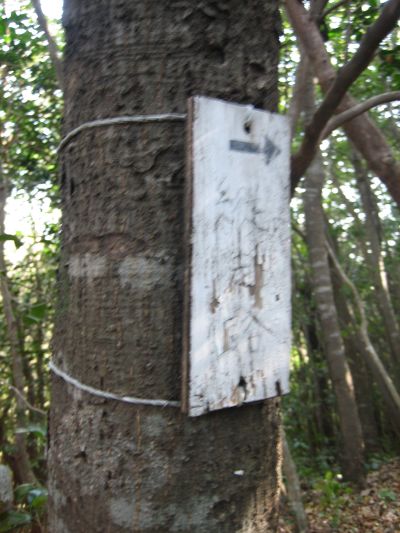 f0036700_14395199.jpg