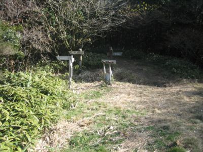 f0036700_14411550.jpg