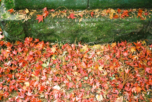 c0217406_11534834.jpg