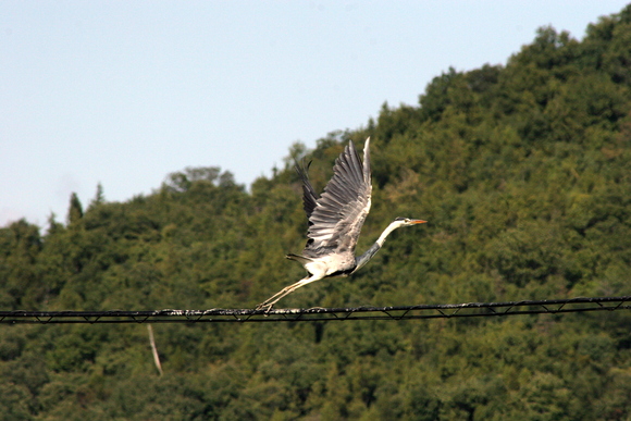 フォトブック~fotografia 2010  y.sakakibara_d0177607_145793.jpg