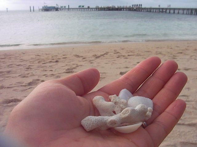 f0038407_9341172.jpg