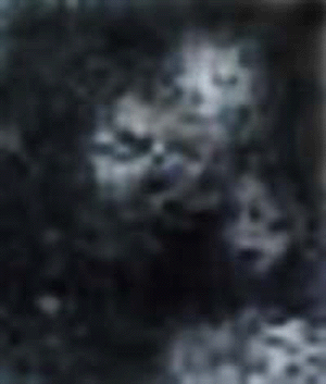 e0103408_18481889.gif
