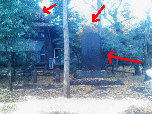 e0103408_1848266.gif