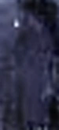 e0103408_1848481.gif